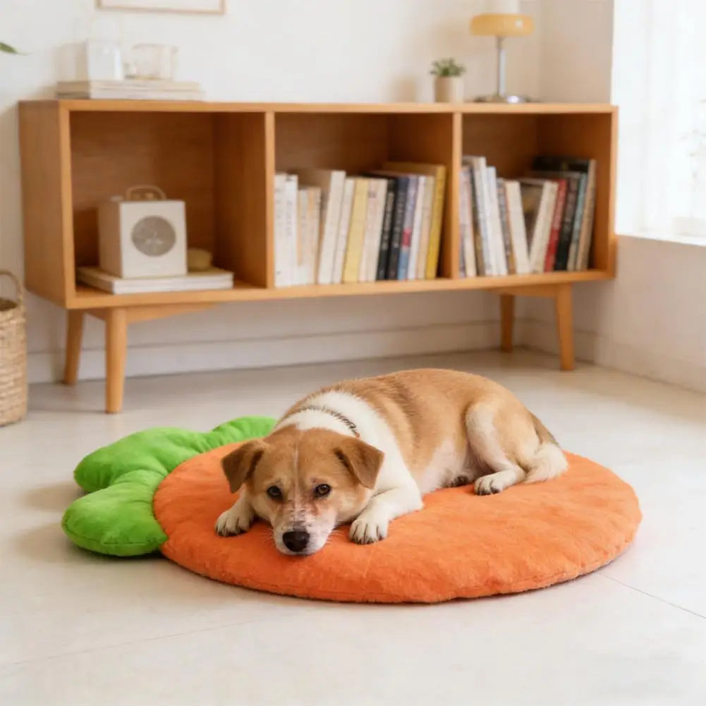 Washable Pet Bed Mat, Washable Cat Cushion, Soft Warm Carrot Shaped Cat Cushion with High Elastic for Small Medium Pets Sleeping