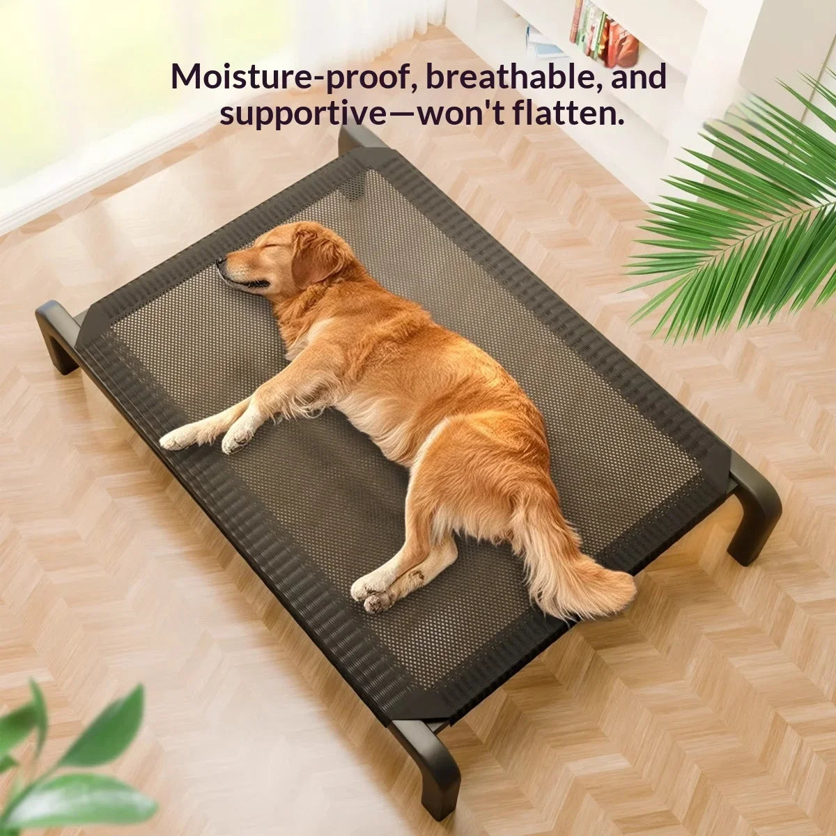 Elevated Dog Bed All Season Outdoor Indoor Waterproof Proof Raised Pet Cot Large Small Dogs Dog Beds Pet Accessories Dog Bed