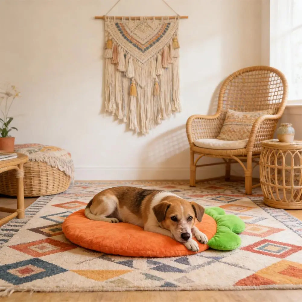 Washable Pet Bed Mat, Washable Cat Cushion, Soft Warm Carrot Shaped Cat Cushion with High Elastic for Small Medium Pets Sleeping