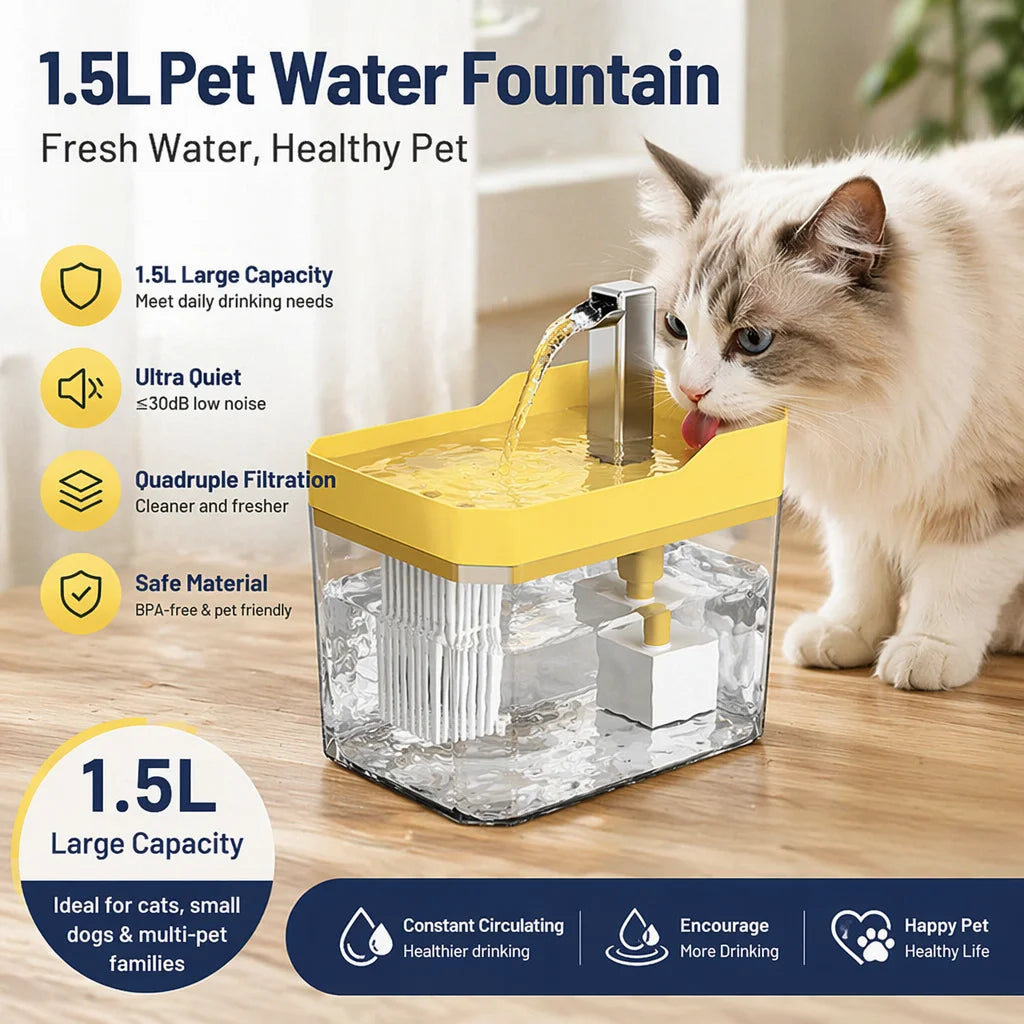 Cat Water Fountain with Auto Filter Transparent Anti-Dry Burning Recirculating Dispenser Includes Pump for Cats
