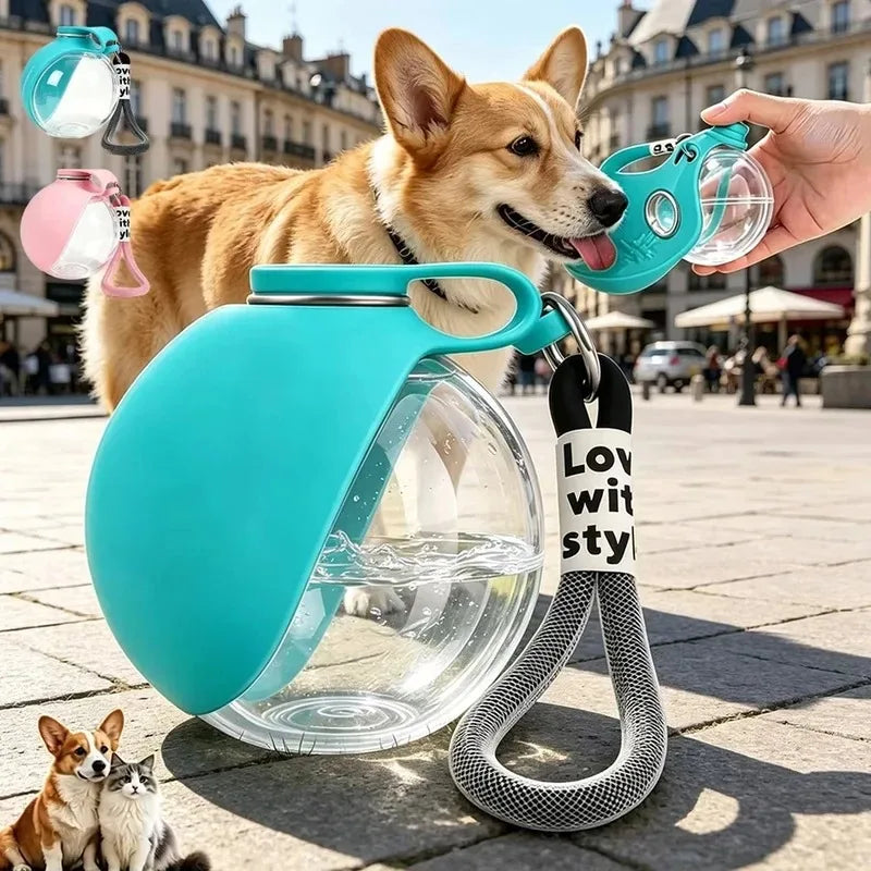 Gourde 2 en 1 portable pour chien avec bol pliable intégré — promenades, randonnées et voyages