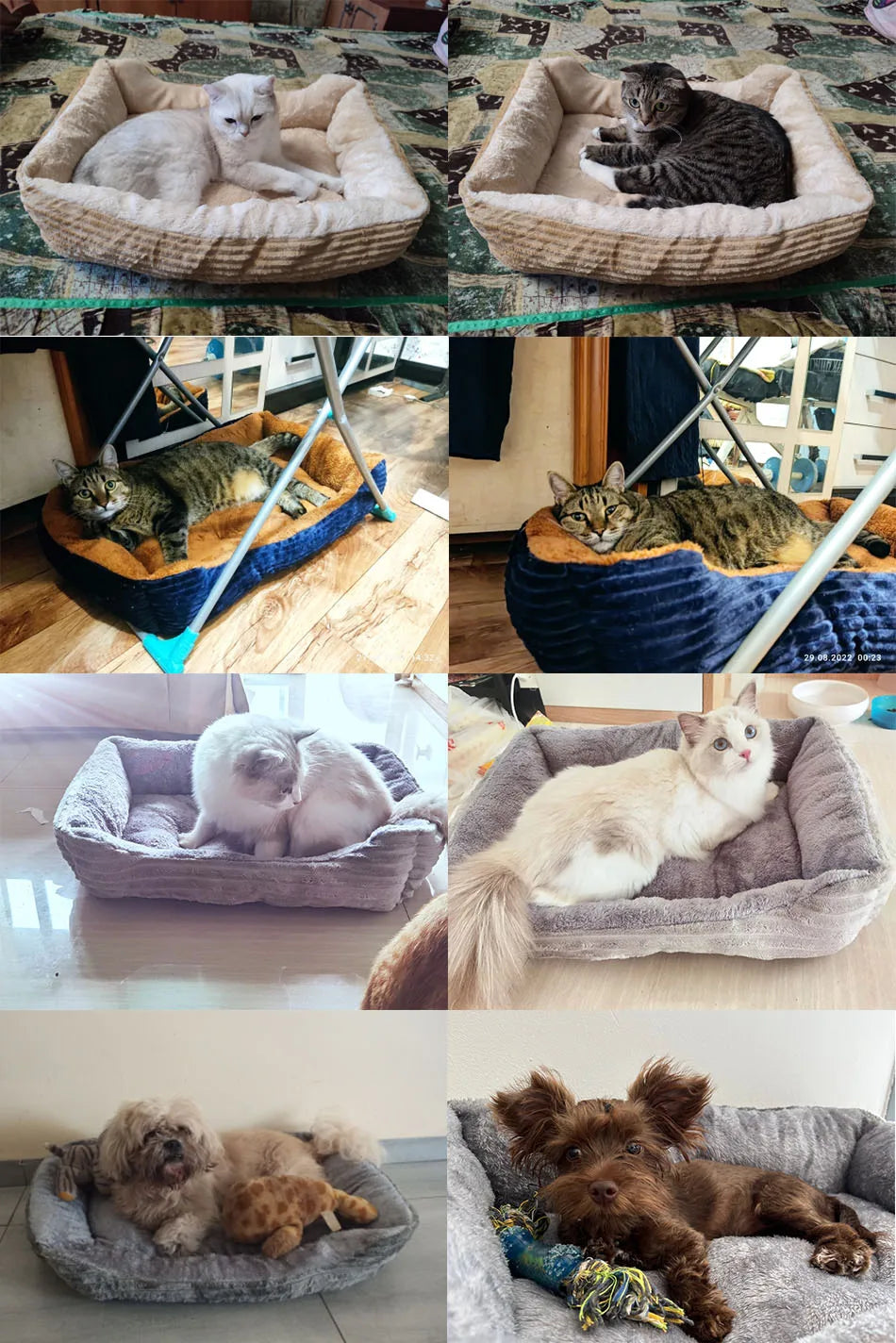 Lit canapé carré en peluche apaisant pour petits et moyens chiens et chats