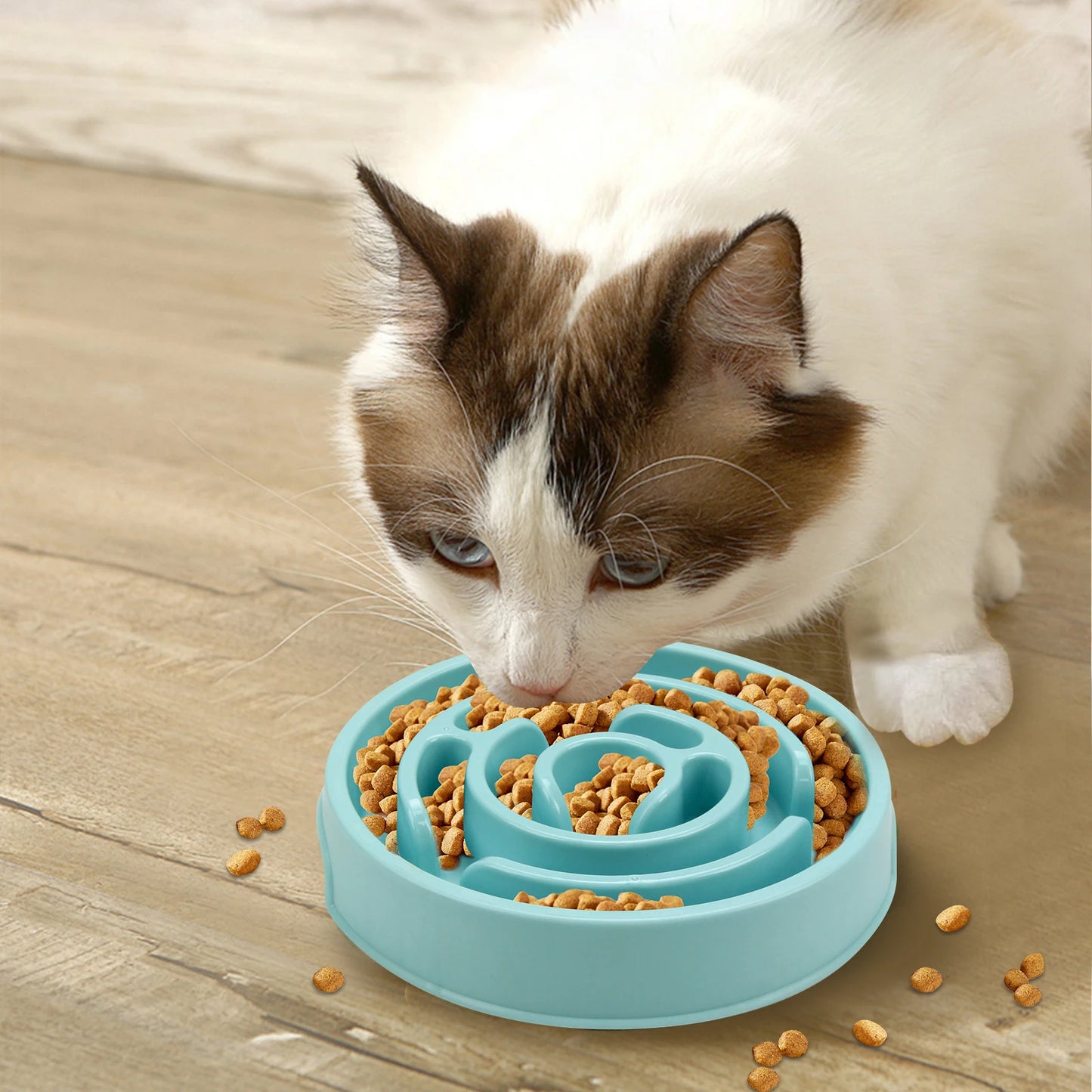 Gamelle anti-glouton labyrinthe pour chien et chat – Antidérapante
