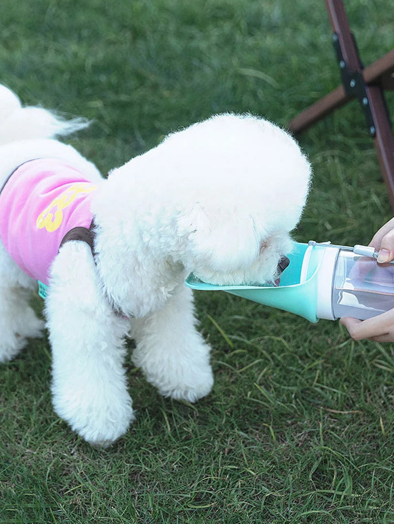 Gourde 2 en 1 portable pour chien avec bol pliable — petits et grands chiens