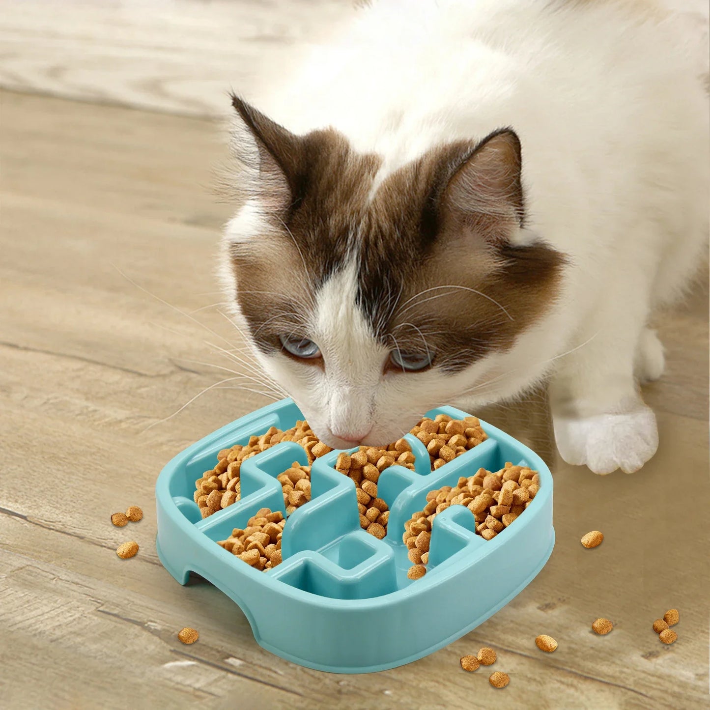Slow feeder bowl macaron for dogs and cats – Styles A and B