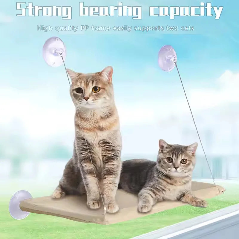 Hamac de fenêtre pour chat — toutes saisons avec ventouses puissantes, installation facile