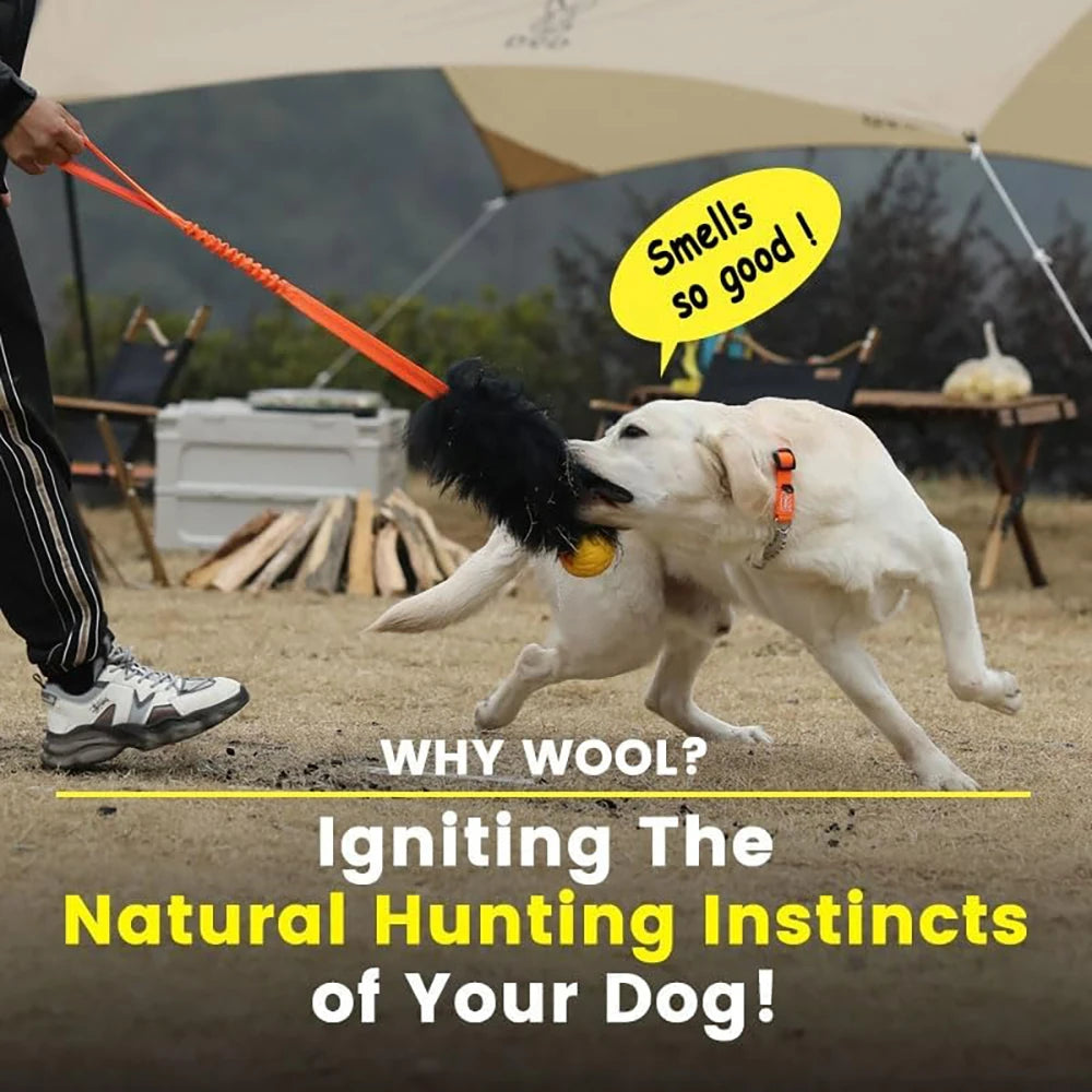 Dog Rope Toy Interactive Dog Bungee Chaser Toy with Rubber Ball Pet Tug Toy Sheepskin for Medium Large Dogs Exercise Outdoor