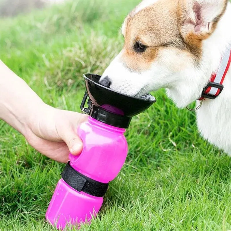 Gourde portable pour chien et chat — tasse d'hydratation pour promenades