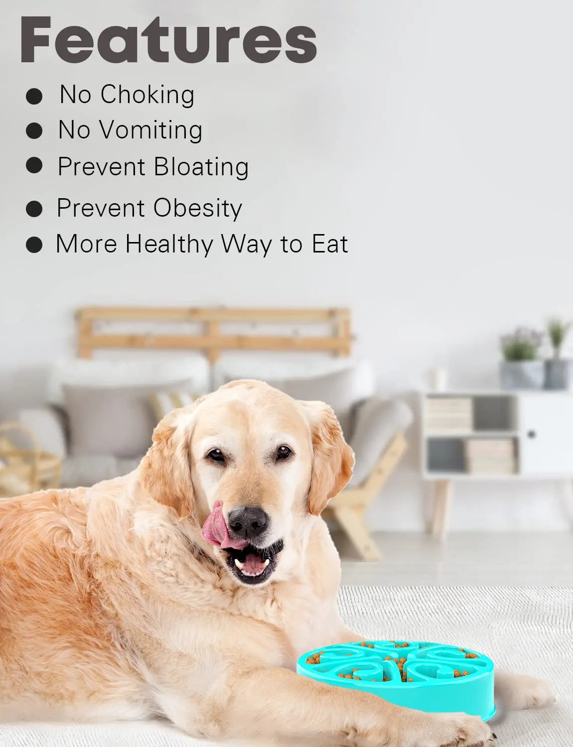 Gamelle anti-glouton pour chien – Antidérapante, grands et petits chiens