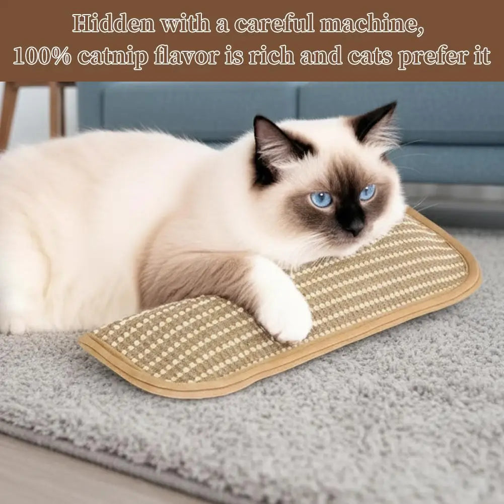 Catnip Cat Toy Plush Interactive Toy For Indoor Cats Scratch Resistant Soft Chew Toy Relieve Anxiety Pet Entertainment Accessory
