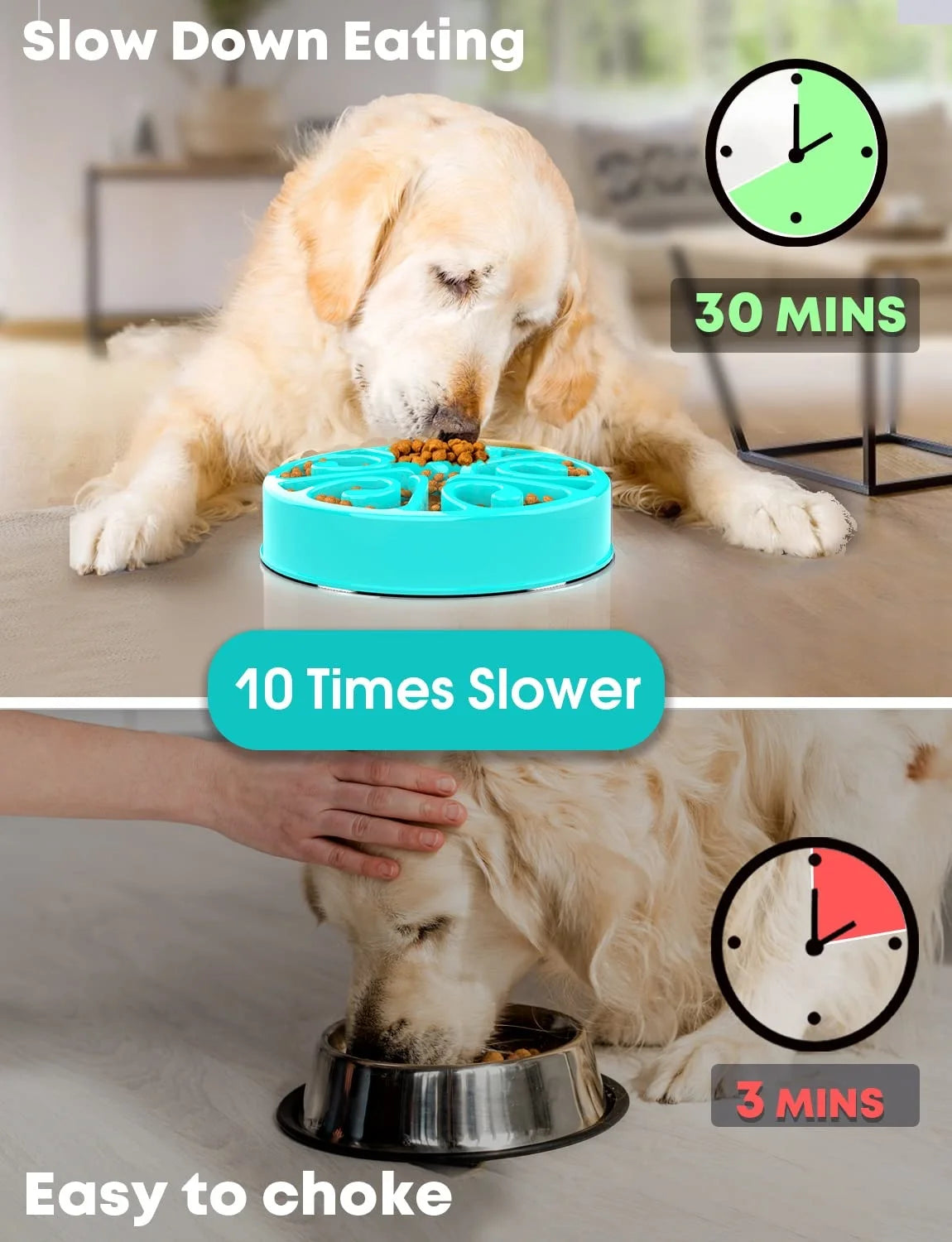 Gamelle anti-glouton pour chien – Antidérapante, grands et petits chiens