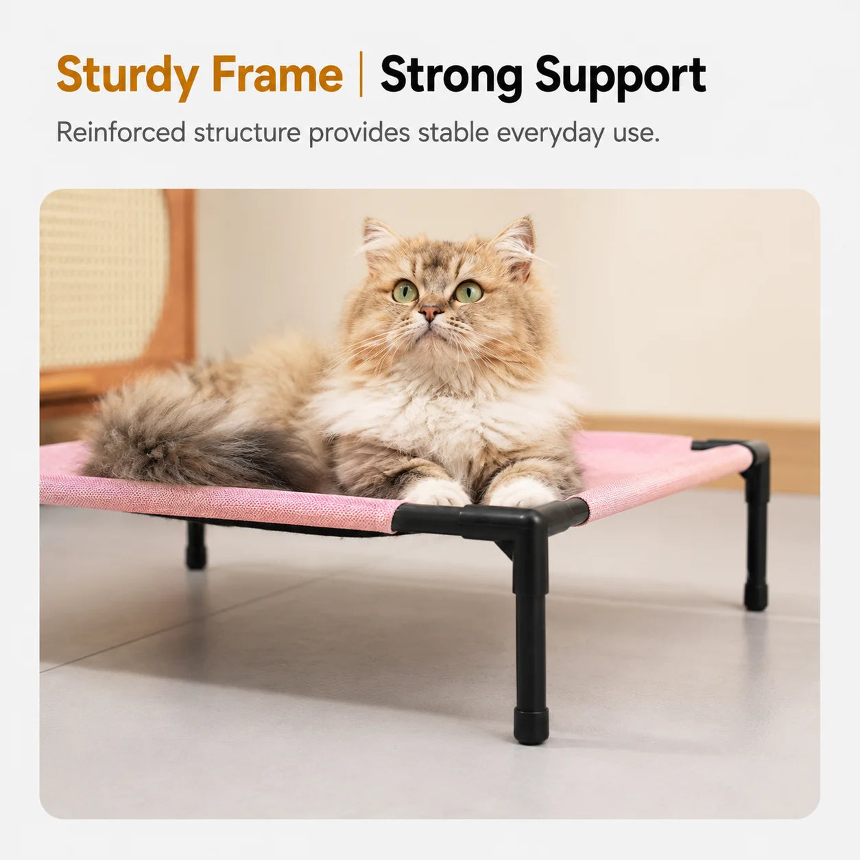 Pet Camping Bed Elevated Bed for Dogs Folding Puppy Camping Bed Cat House Portable Removable Washable Puppy Beds Dog Hammock