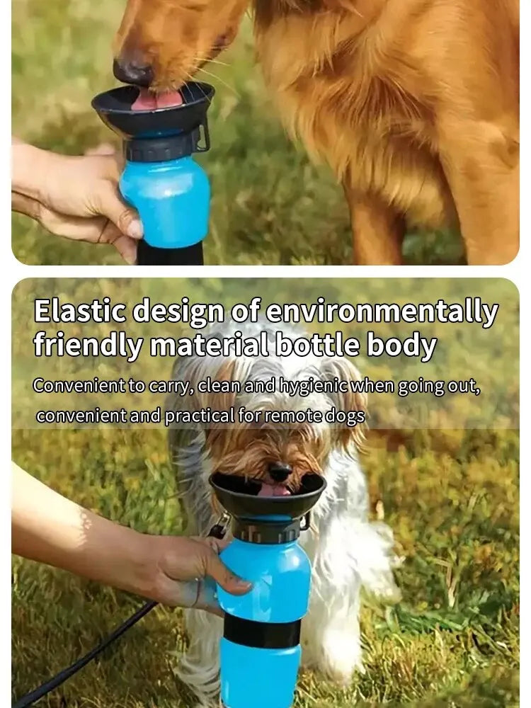 Gourde portable pour chien et chat — tasse d'hydratation pour promenades