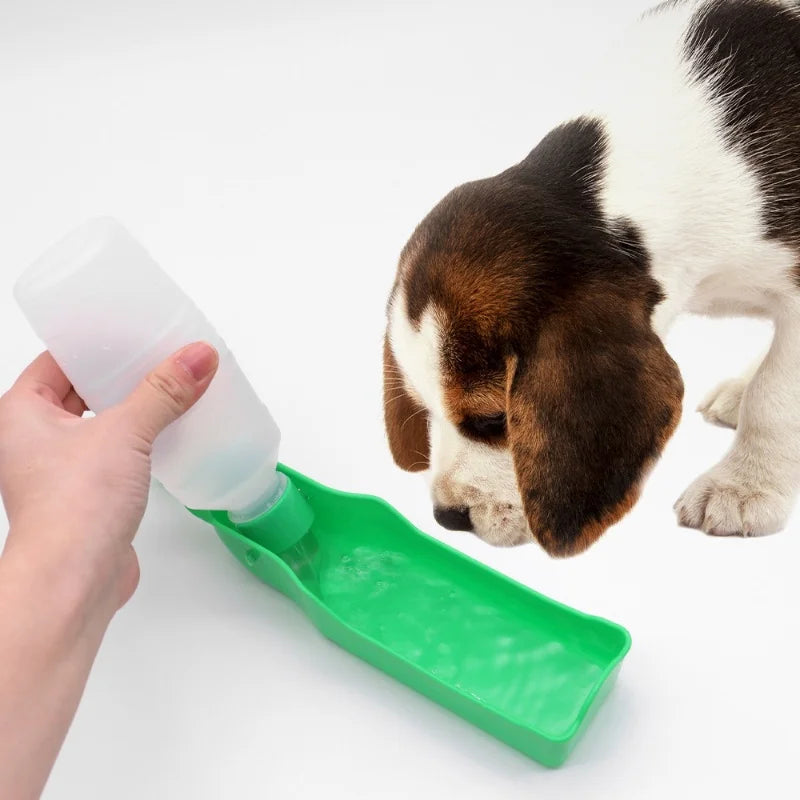 Gourde de voyage portable pour chien et chat — tasse d'hydratation pour promenades