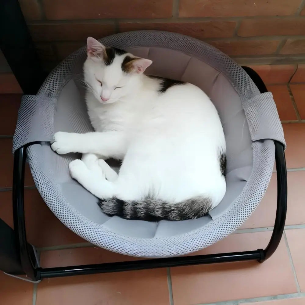 Cat Hammock Bed Dog Standing Bed Deep Sleeping Bed For Small Medium Cats Detachable And Easy to Clean Pet Mats