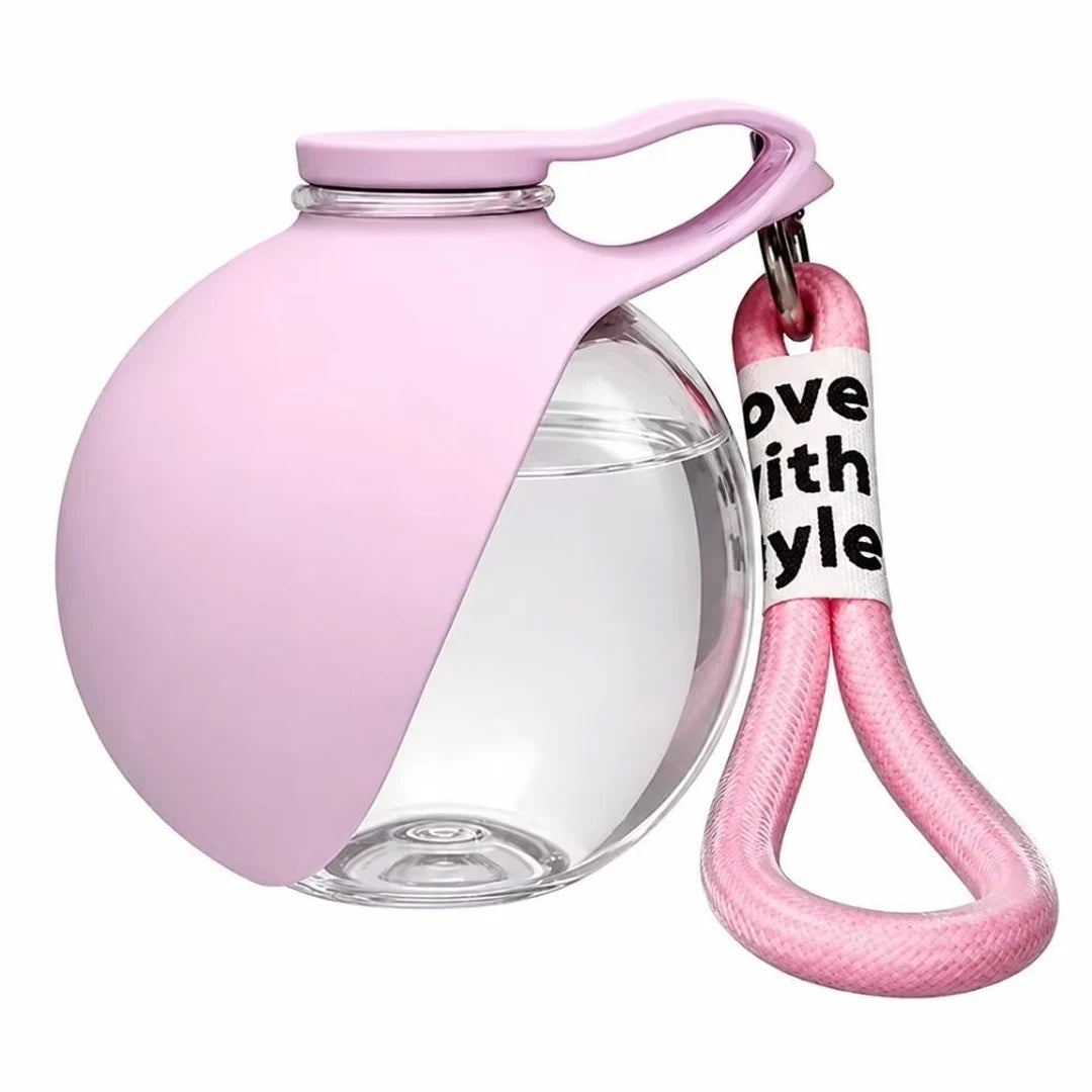 Gourde 2 en 1 portable pour chien avec bol pliable intégré — promenades, randonnées et voyages