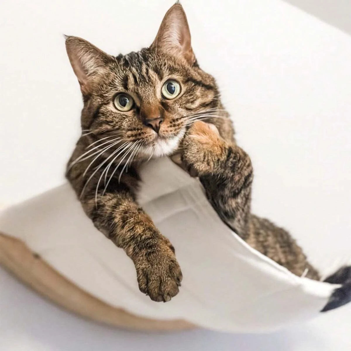 Cat Hammock Bed Wall Mounted Climbing Cats Kitty Bed Funiture Stable Shelf Perches Cat House for Sleeping Playing Accessories
