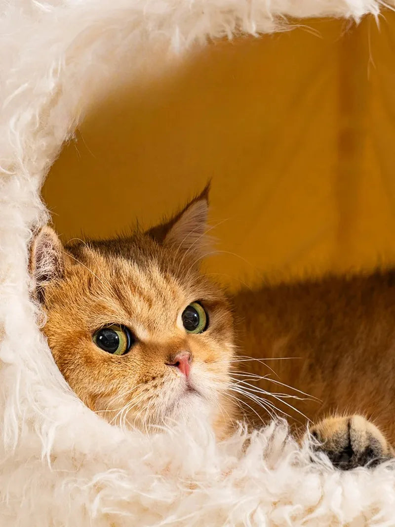 Lit maison ultra-doux pour chat et petit chien — peluche chaude et confortable