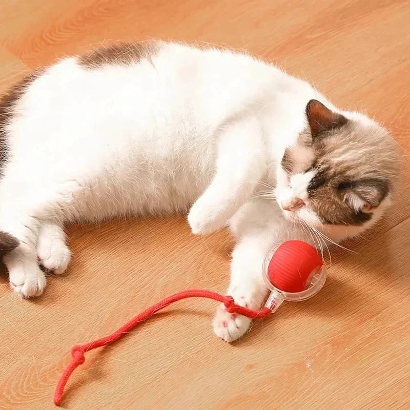 Dog Interactive Ball Toy Automatic Rolling Dog Ball Rechargeable Smart Cat Interactive Toy Intelligent Balls Toy for Pet