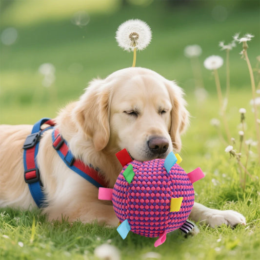 Balle interactive en peluche pour chien – Entraînement, soulagement du stress, résistante aux morsures, tir à la corde, 3 couleurs