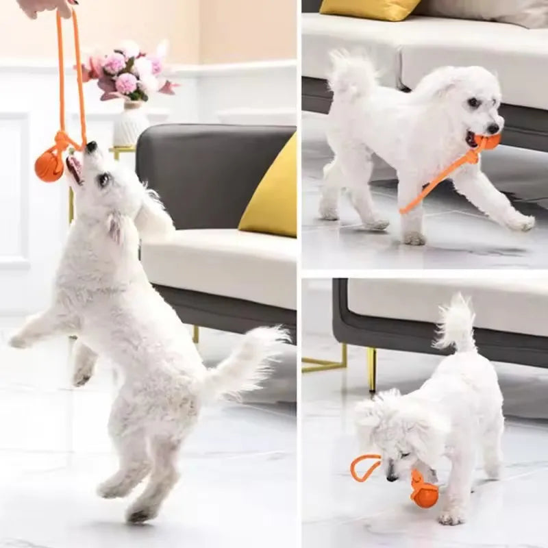 Dog Training Ball on Rope Cotton Nontoxic Durable Interactive Dog Toy for Small Large Dogs Tugging Throwing Catching Chewing