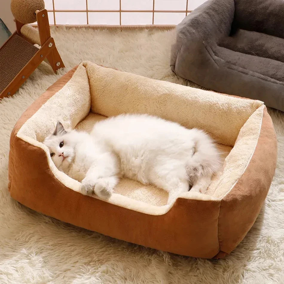 Lit panier maison douillet pour chat et chien — coussin confortable toutes tailles