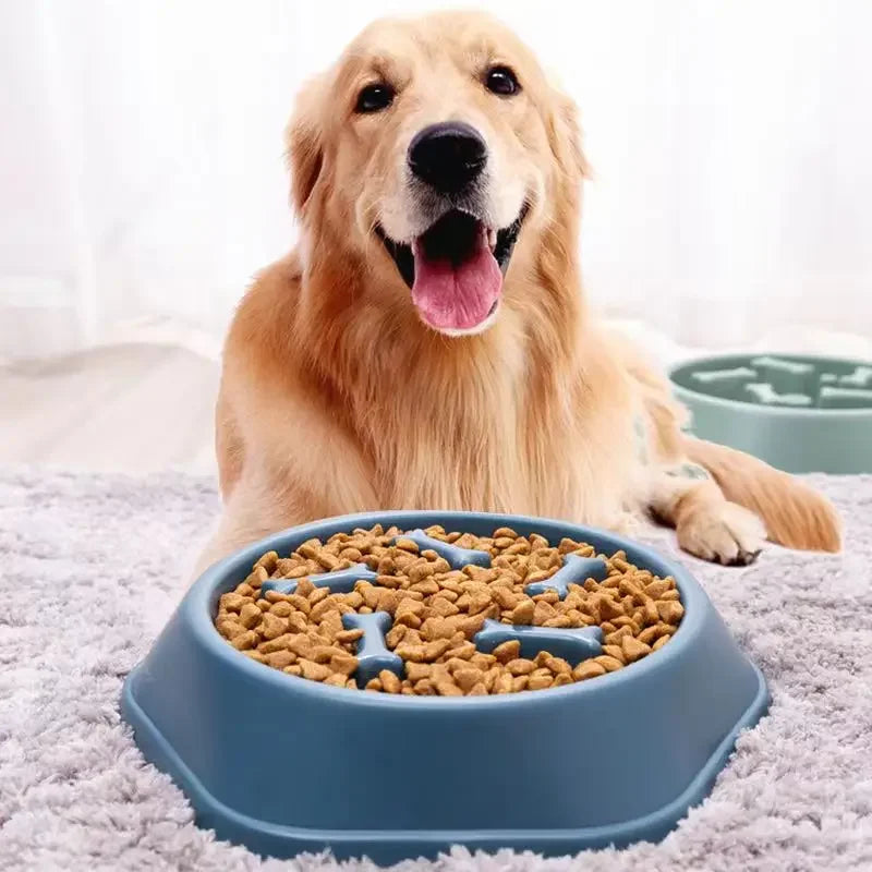 Slow Feeder Puzzle Bowl for Small to Medium Dogs – Non-Slip