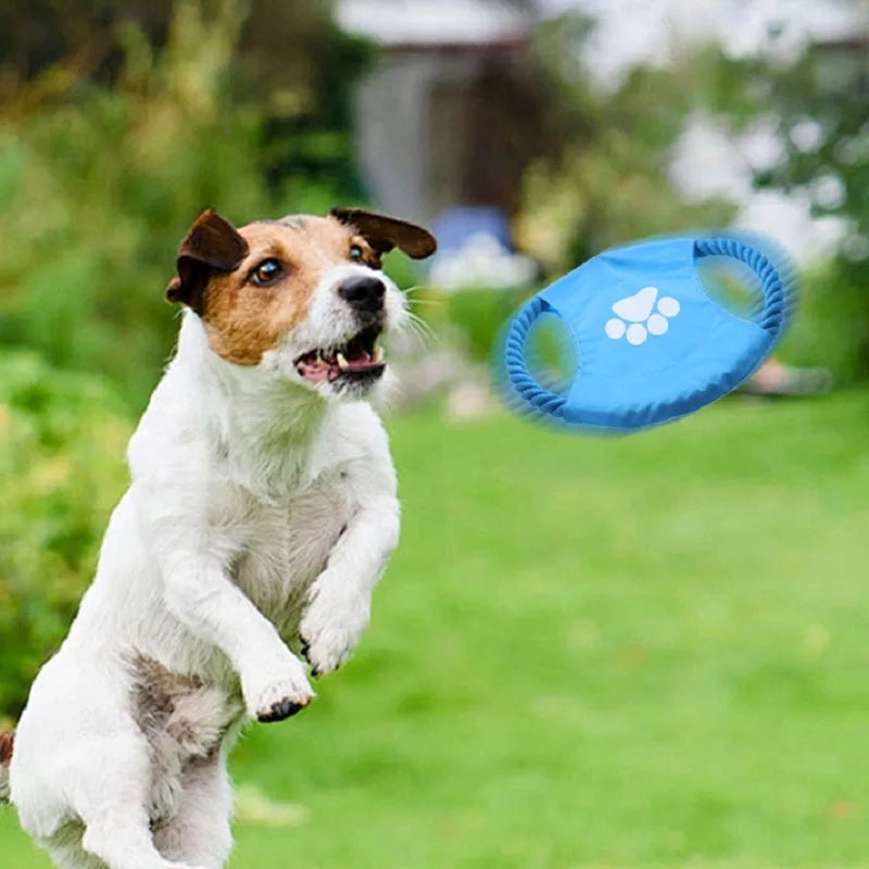 Durable Interactive Pet Dog Toy with Cotton Rope Outdoor Throwing Bite Resistant Fun Playtime Accessory for Dogs
