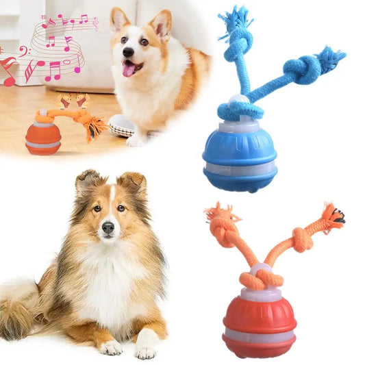 Balle interactive avec corde à détection de mouvement pour chien et chat – Roulement électronique, entraînement pour chiots