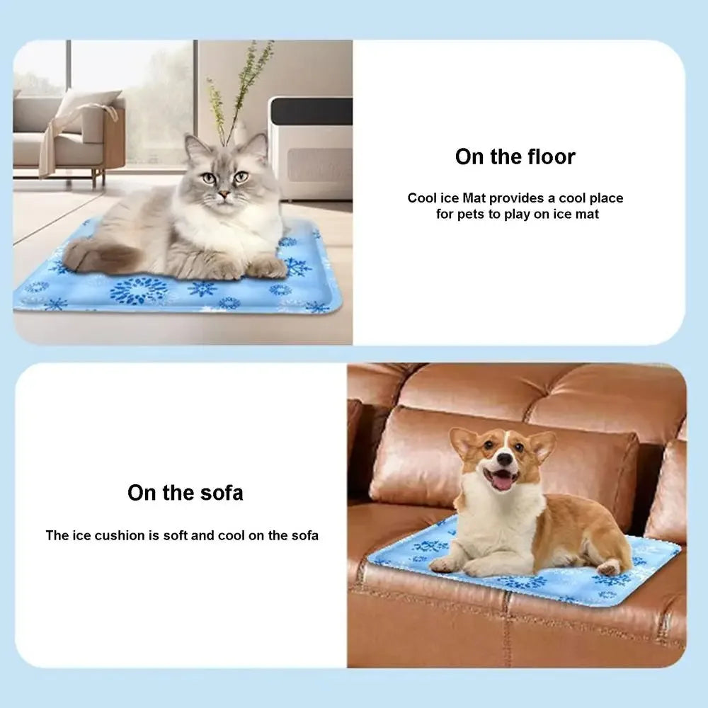 Cooling Beds, Cat Accessories, Dog Beds, Goods, Mats, Houses, Habitats, Pet Products, Cushions, Puppy Houses, Things, Kitten Baskets