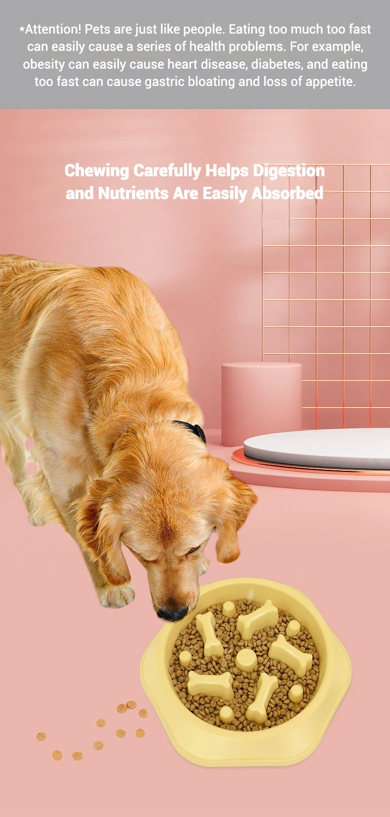 1.5-Cup Slow Feeder Bowl for Small and Medium Dogs – Labyrinth