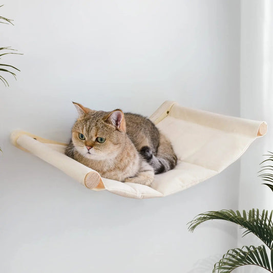 Hamac mural pour chat — étagère perchoir stable pour dormir et jouer