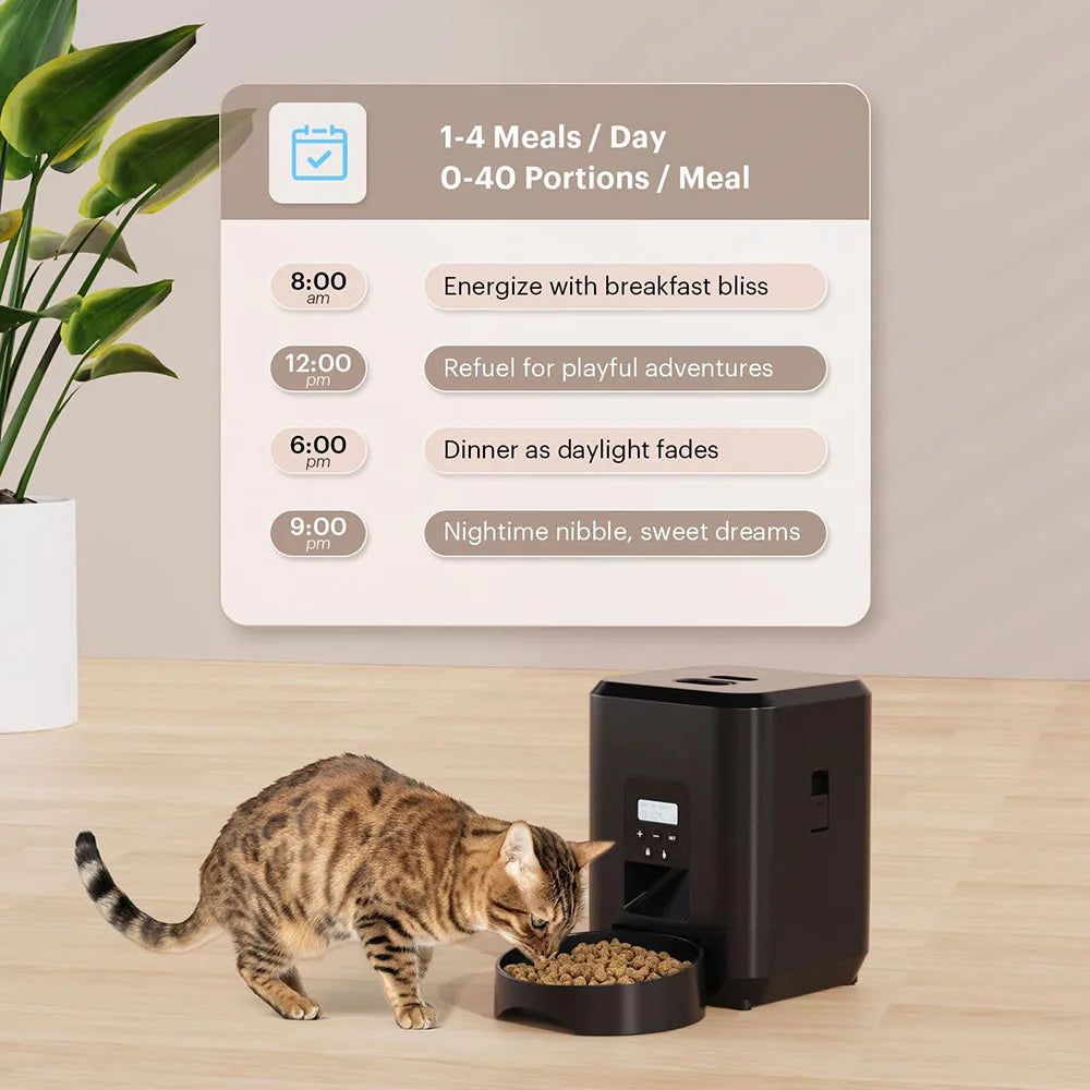 Distributeur intelligent automatique pour chats et chiens avec mangeoire lente et bol