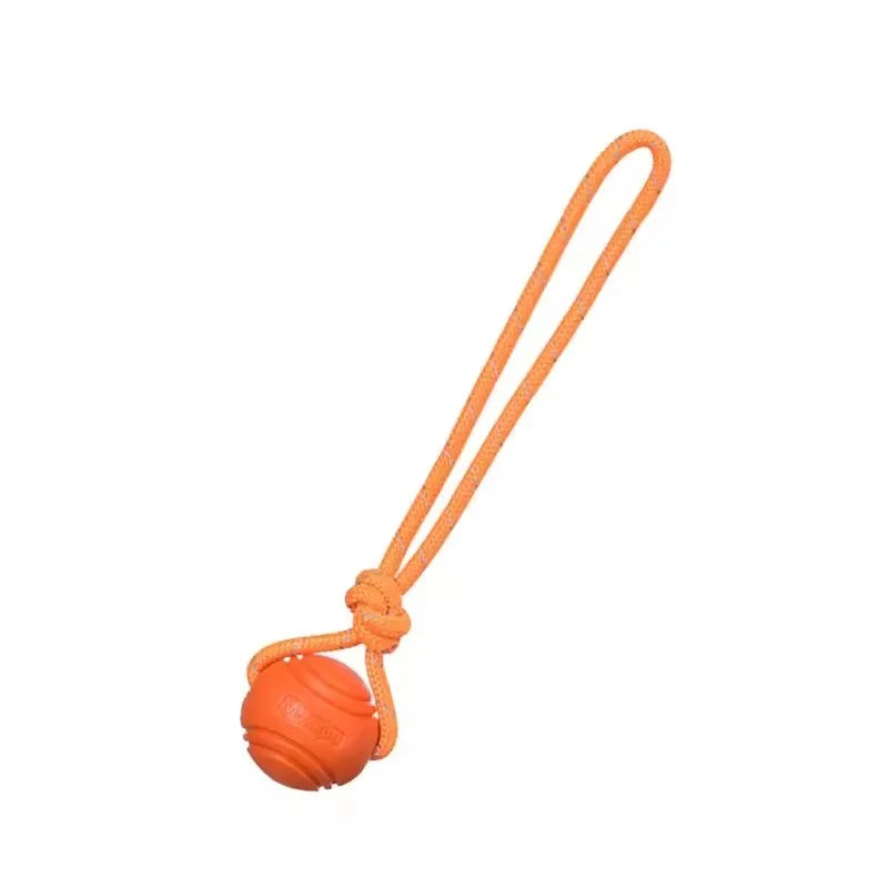 Dog Training Ball on Rope Cotton Nontoxic Durable Interactive Dog Toy for Small Large Dogs Tugging Throwing Catching Chewing