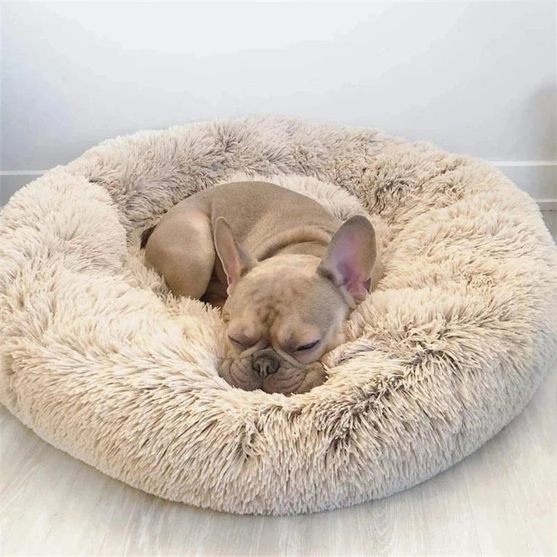 Lit donut super doux lavable pour chat et chien — confort hivernal optimal