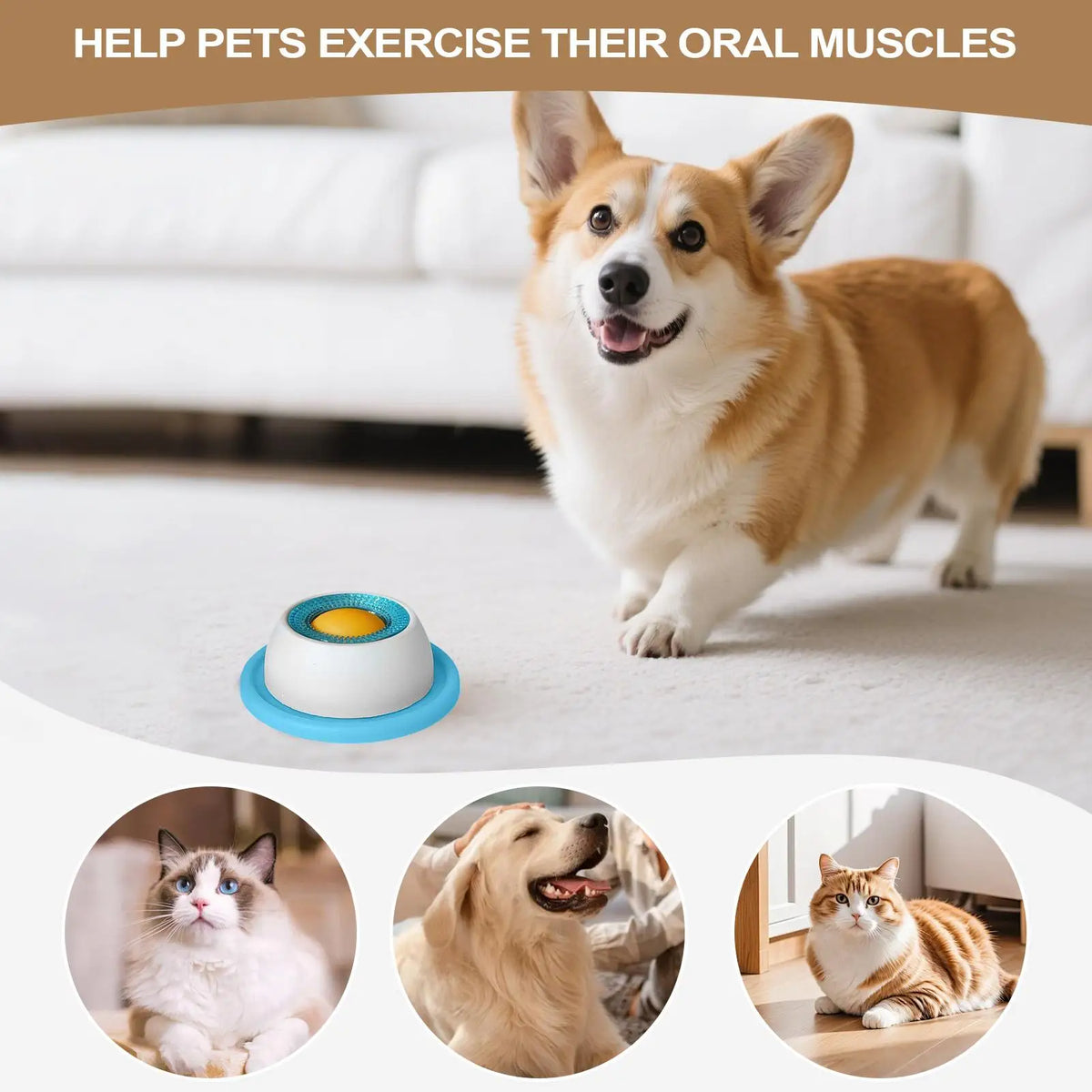 Jouet léche-friandises pour chien – Mangeoire lente anti-glouton