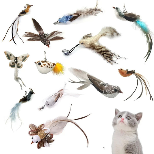 Canne à plumes d'oiseau avec clochette pour chat – Jouet interactif de chasse et exercice pour chatons