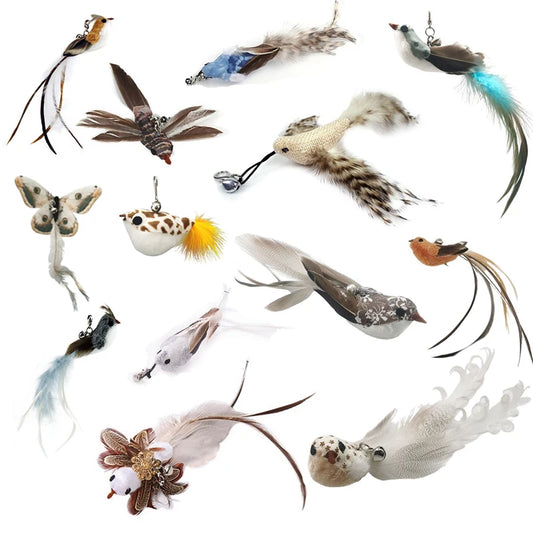 Canne à plumes d'oiseau mains libres avec ventouse puissante pour chat – Jouet interactif de chasse pour chatons