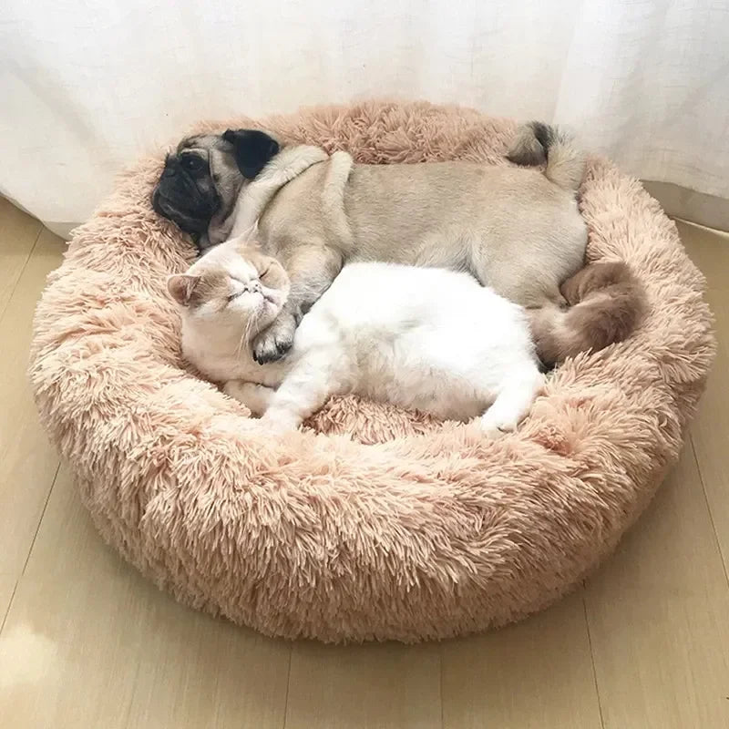 Lit donut super doux lavable pour chat et chien — confort hivernal optimal