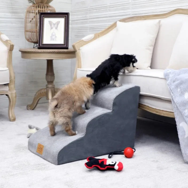 Escalier antidérapant démontable pour chien et chat — protection des hanches et articulations