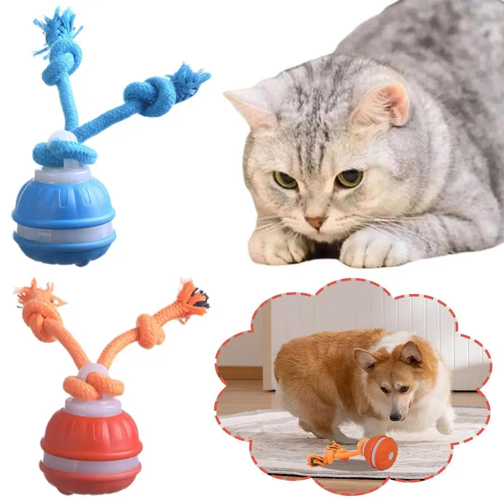 Interactive Dog Toy Ball with Rope Electronic Motion Activated Rolling Ball for Indoor Cat Dog Play Toys for Puppy Training Ball