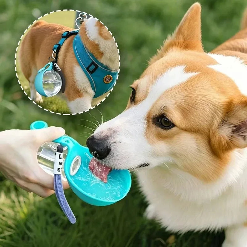 Gourde 2 en 1 portable pour chien avec bol pliable intégré — promenades, randonnées et voyages