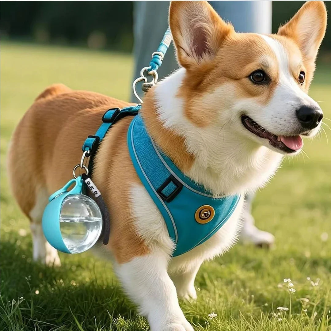 Gourde 2 en 1 portable pour chien avec bol pliable intégré — promenades, randonnées et voyages