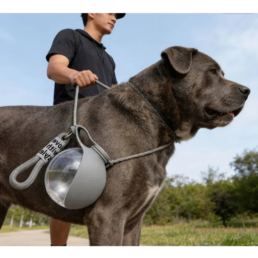 Gourde 2 en 1 portable pour chien avec bol pliable intégré — promenades, randonnées et voyages