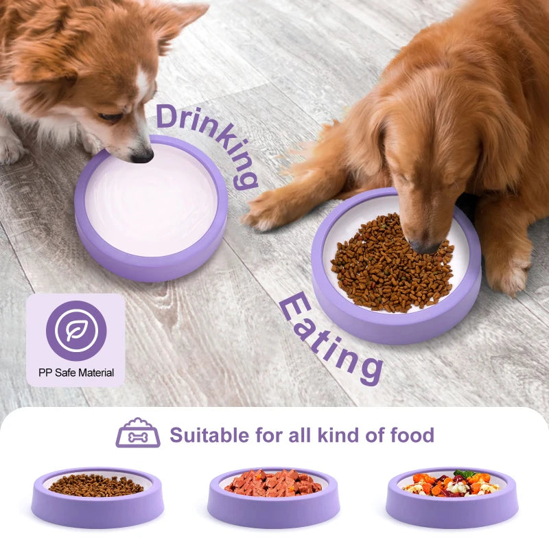 Gamelle anti-glouton labyrinthe pour chien et chat – 6 couleurs