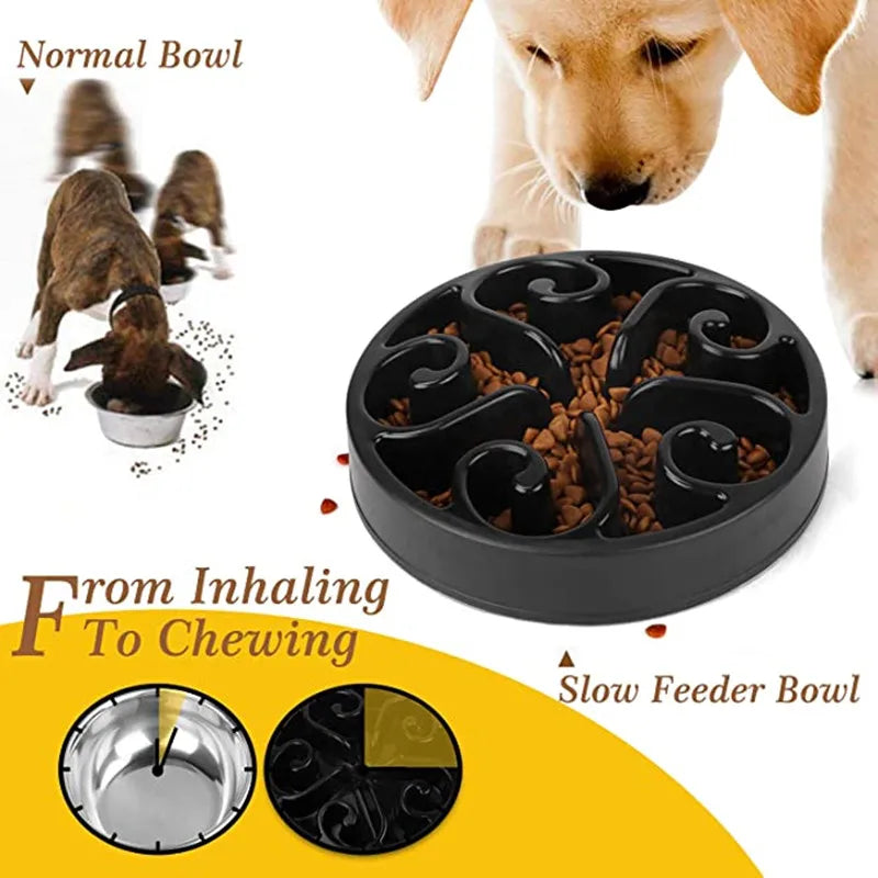 Gamelle anti-glouton puzzle pour chien – Antidérapante, grands et petits chiens