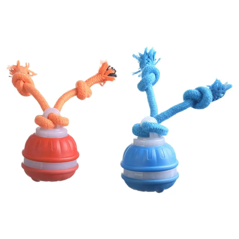 Interactive Dog Toy Ball with Rope Electronic Motion Activated Rolling Ball for Indoor Cat Dog Play Toys for Puppy Training Ball