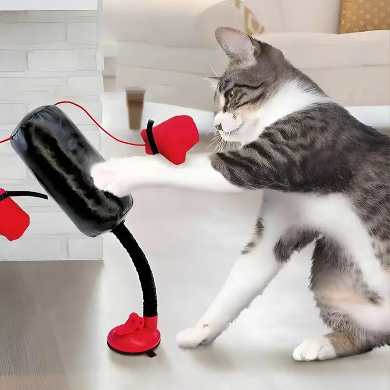 Interactive Cat Speed Bag Toy with Spring Gooseneck Self-Play Boxing Toy Relieves Boredom Exercise Training Gift for Kittens