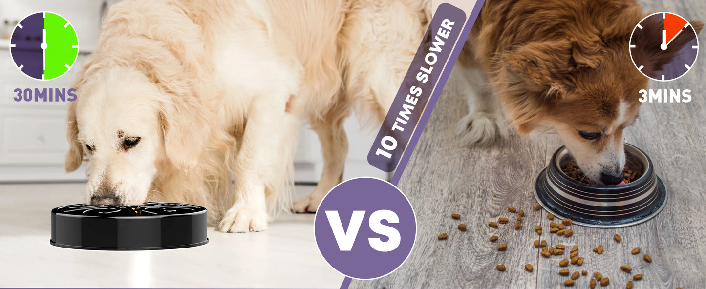 Gamelle anti-glouton pour chien – Antidérapante, grands et petits chiens