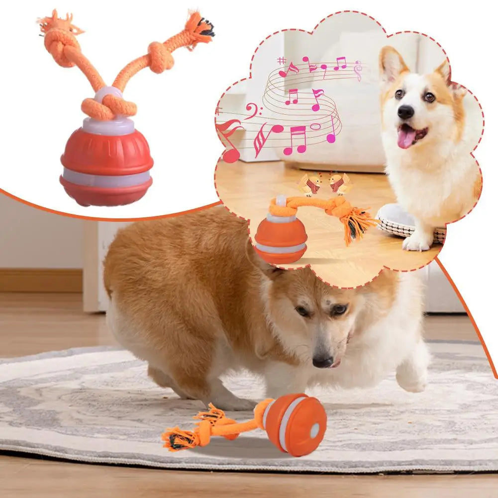 Interactive Dog Toy Ball with Rope Electronic Motion Activated Rolling Ball for Indoor Cat Dog Play Toys for Puppy Training Ball